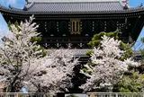 金戒光明寺