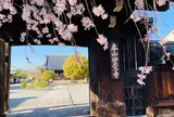 北龍華具足山 妙覚寺