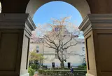 京都府庁 旧本館