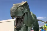 STEM RESORT-ステムリゾート-沖縄豊崎
