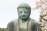 鎌倉大仏殿高徳院