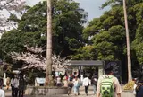 江の島サムエル・コッキング苑