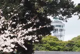 江の島シーキャンドル