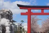 段葛