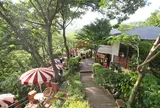 CafeTerrace樹ガーデン