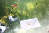 八重垣神社