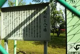 兜松
