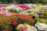 神代植物公園