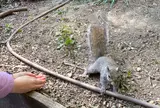 ヴァレンティーノ公園