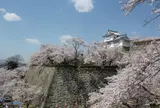 津山城（鶴山公園）