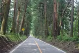 例幣使街道