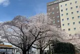 駒込駅