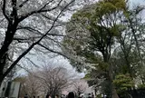 飛鳥山公園