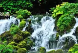 湧水の里