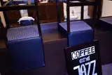 FUZZY CHAOS 511