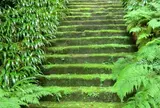 妙法寺(苔寺)