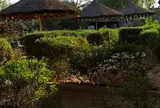 La Cigogne