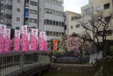 うどん双樹