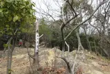 五丁展望所
