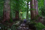 瀧尾神社の参道