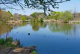 見沼自然公園