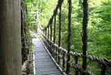 奥祖谷二重かずら橋