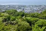 天園ハイキングコース