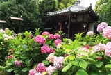 本堂は国宝です