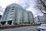 プラチナ通り銀杏並木