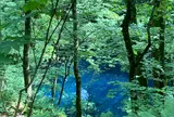 青池