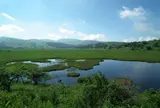 八島ヶ原湿原
