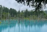 青い池