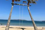 ヤシの木ブランコ