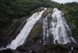 大川の滝