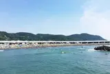 大磯海水浴場