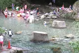 霧の森
