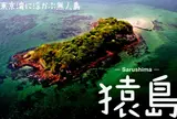 猿島