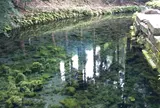 白川水源