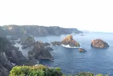 海金剛
