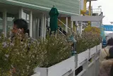 エッグスンシングス 湘南江の島店