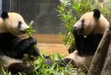 上野動物園