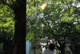 筑後市諏訪神社