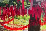 卯子酉様
