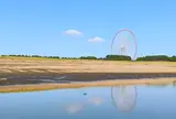 長生館の流しそうめん