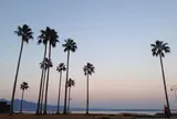 上人ヶ浜公園