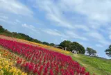那須フラワーワールド