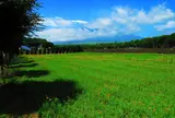 山中湖花の都公園
