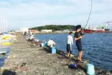 自衛隊堤防