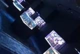 DMMかりゆし水族館