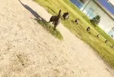 島根県立美術館